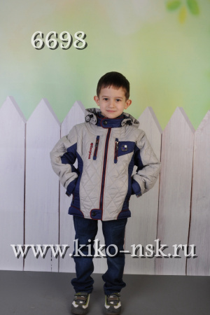 6698 Куртка на синтепоне